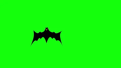 Flying Bat on Green Screen Chroma Key Halloween Animation 4K Stock Footage 342344812