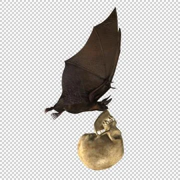 Flying Bat with Human Skull - Side View Illustration