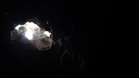 Flying bat hunting with the sun rays inside the beautiful cave in Malaysia.-Dan Stock Footage 119655968