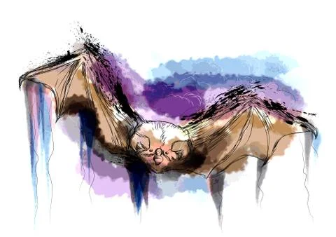 Flying bat Stock Illustration