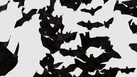 Flying Bat Swarm on Alpha Video stock 348262704