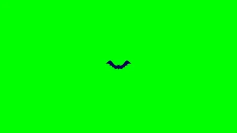 Flying Bat Transition on Transparent Background and Green Screen. Stock Footage 315388820