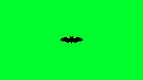 Flying Bats 05 Stock Footage 71168148