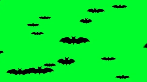 Flying Bats 07 Stock Footage 71168004