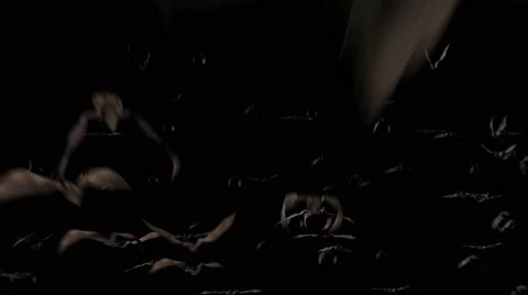 Flying bats 4k. Two version 库存影片 42634767