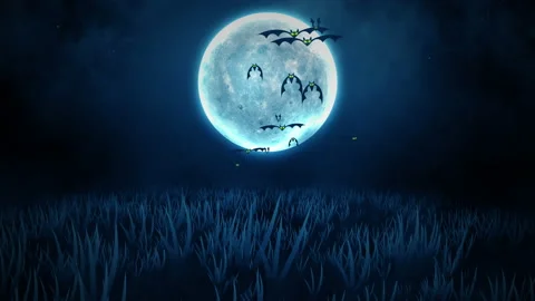 Flying bats animation halloween background,  Night with big moon and grasses Video stock 201574868