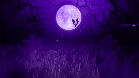 Flying bats animation halloween background,  Night with the moon Stock Footage 201575076