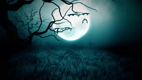 Flying bats animation halloween background,  Night with the moon Video stock 201575298