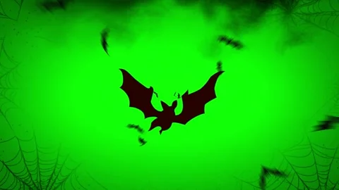 Flying bats on green halloween background with spider webs Stock Footage 337327006