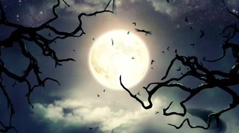 Flying bats in the light of spooky Moon -LOOP Stock Footage