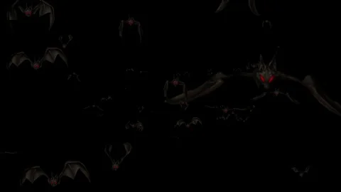 Flying bats motion graphics with dark background Stock Footage 123916432
