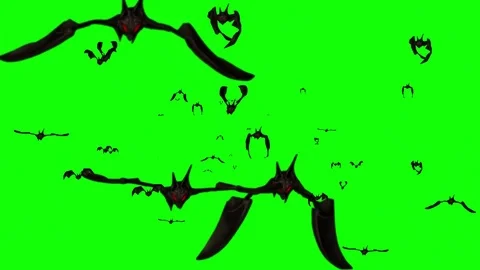 Flying bats motion graphics with green screen background Stock Footage