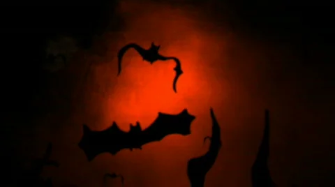 Flying Bats on Orange Sky Stock Footage 530656