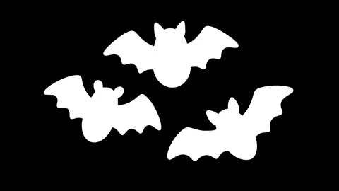 Flying Bats Silhouette Animation - Bat Group Motion Graphics on Black Background Stock Footage 343878008