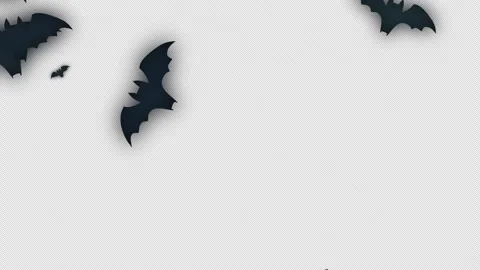 Flying Bats_Close_Alpha(7sec) Stock Footage 286998961