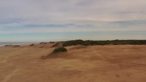 Flying in the beach Stock Footage 116824066