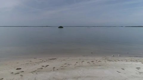 Flying from beach towards tiny island seagulls horses Video stock 86215900