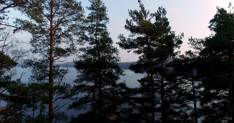 Flying up from behind trees to see the lake landscape, Finland autumn day Stock Footage 98761823