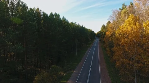 Flying beside a white car driving though green nature with sun shining Stock-Footage 80900980