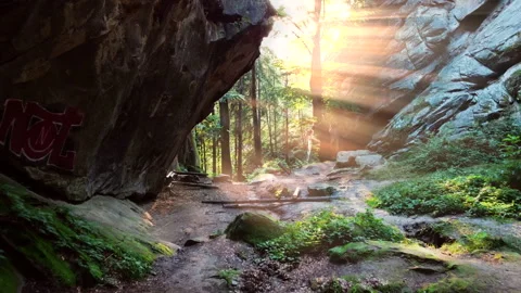 Flying between big rocks in forest to the sun at sunset. Video stock 151501242