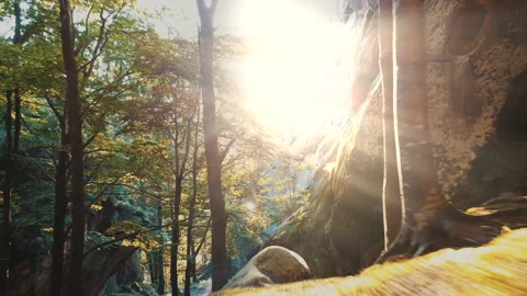 Flying between big rocks in forest to the sun at sunset. Video stock 151501411