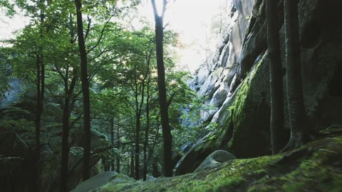 Flying between big rocks in forest to the sun at sunset. Stock Footage 151501550