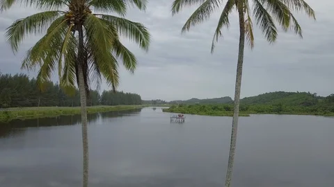 Flying between coconut trees revealing a hut in middle of lake Stock Footage 113156752