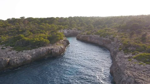 Flying between jungle and river at sunset with INSPIRE 2 drone Stock Footage 101427423