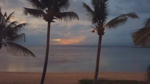 Flying between palm trees over the tropical ocean at sunset. Stock Footage 122155551