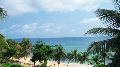 Flying between palm trees towards the sea over a paradisiacal beach at São Stock Footage 269273639
