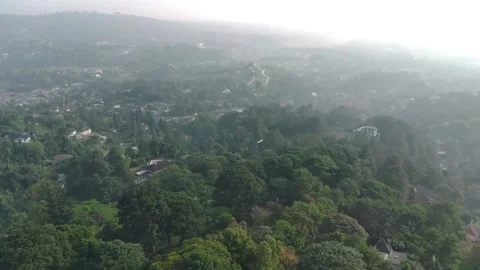 Flying between the palms, trees in a tropical forest, bogor, West Java, Indon Stock Footage 202292145