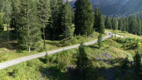 Flying between trees and fields. Aerial summer landscape on the mountains Video stock 153300038