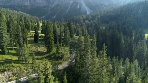 Flying between trees and fields. Aerial summer landscape on the mountains Stock Footage 153301330