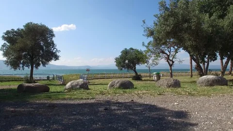 Flying between the trees at the east side of Sea of Galilee. Israel. DJI-0005-01 Stock-Footage 124396903