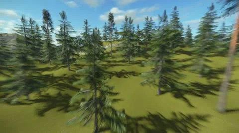 Flying between trees Video stock 12234737