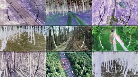 Flying Between Trees in Forest Negative Inverted Colors on Multiple Screens Stock Footage 152460110