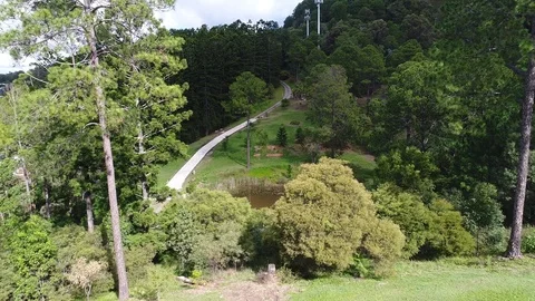 Flying between trees to reveal pond Stock Footage 77322985