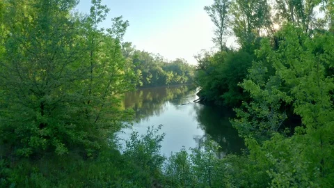 Flying between the trees to the river. Stock Footage 119066956