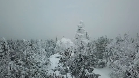 Flying between white spruce treetops covered in fresh snow on foggy winter day Video stock 101374128