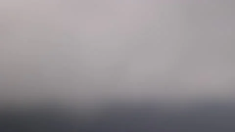 Flying Bird Appearing Through the Fog from Miradouro da Ponta do Sossego. Stock Footage 239870540