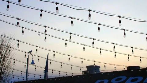 A flying bird Stock Footage 120379114