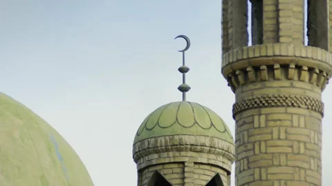 Flying bird Stock Footage 235107275