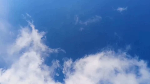 Flying bird over cloudy deep blue sky 4k uhd Stock Footage 104099206
