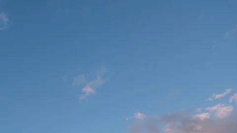 Flying bird over cloudy deep blue sky 4k uhd,fly spring Swallow motion Stock Footage 125220037
