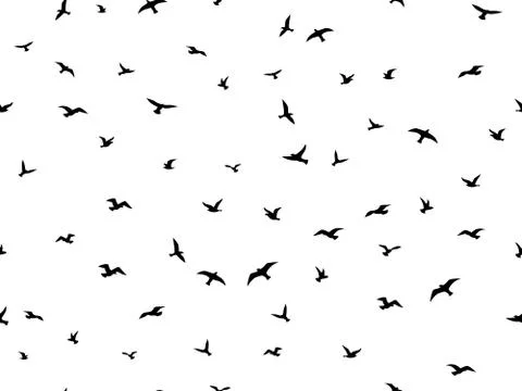 Flying bird seamless pattern. Flock flying birds silhouettes, graphic seagull Illustrazione stock