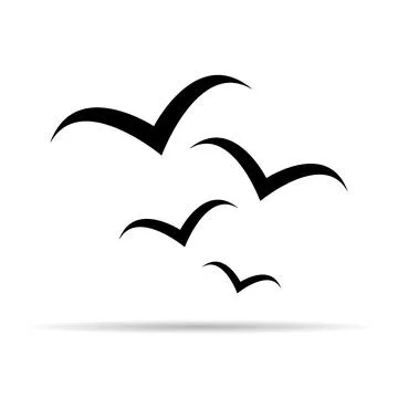 Flying bird shadow design, nature freedom flock sign, vector illustration Stock Illustration
