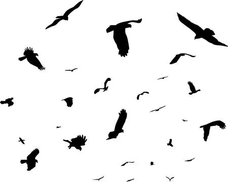 Flying bird silhouette Illustrazione stock