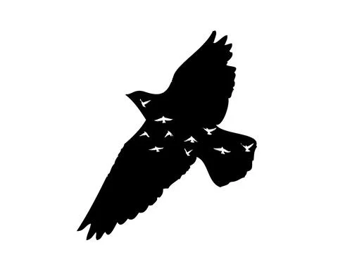 Flying bird silhouette. Vector illustration Stock Illustration