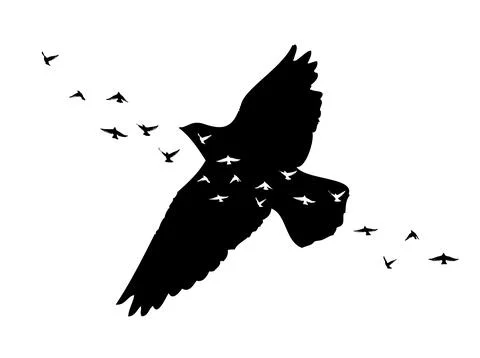 Flying bird silhouette. Vector illustration Stock Illustration