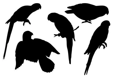 Flying bird silhouette vector for websites, graphics related artwork Stock Illustration